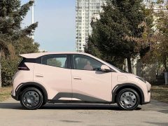 BYD Seagull Glory Edition 305km Vitality Version - ფოტო 6