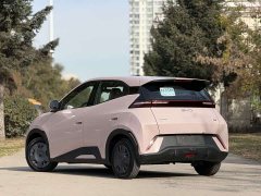 BYD Seagull Glory Edition 305km Vitality Version - ფოტო 7