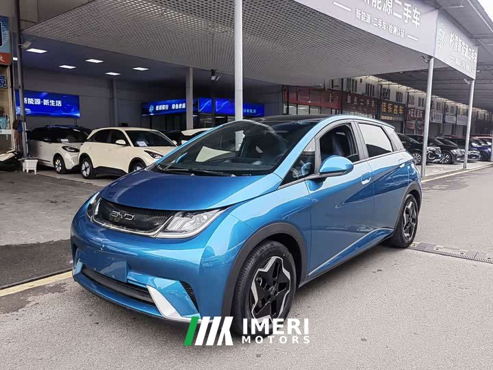 BYD Dolphin 405km Fashion Edition - ავტომობილი ჩინეთიდან
