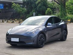 Tesla Model Y Long Range All-Wheel Drive 3D7 - ფოტო 1