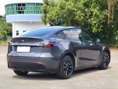 Tesla Model Y Long Range All-Wheel Drive 3D7 - ფოტო 14