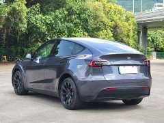 Tesla Model Y Long Range All-Wheel Drive 3D7 - ფოტო 16