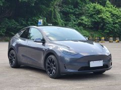 Tesla Model Y Long Range All-Wheel Drive 3D7 - ფოტო 3