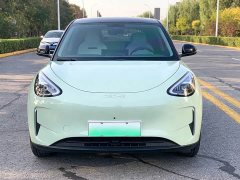 Geely Xing Yuan 310km Youth Edition - ფოტო 2