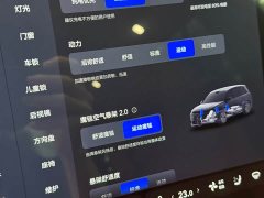 Li Auto L9 Max - ფოტო 13
