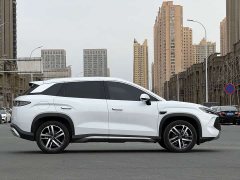 BYD Song L DM-i Smart Driving Edition 112km Leading - ფოტო 6