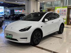 Tesla Model Y Rear-Wheel Drive - ფოტო 1