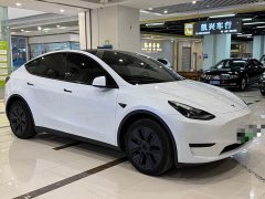 Tesla Model Y Rear-Wheel Drive - ფოტო 3