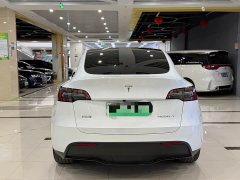 Tesla Model Y Rear-Wheel Drive - ფოტო 8
