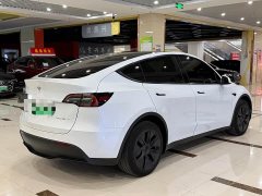 Tesla Model Y Rear-Wheel Drive - ფოტო 9