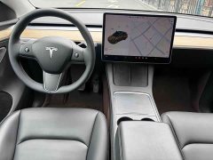 Tesla Model Y Long Range All-Wheel Drive - ფოტო 11