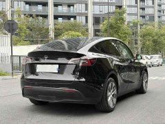 Tesla Model Y Long Range All-Wheel Drive - ფოტო 14