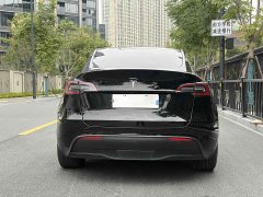 Tesla Model Y Long Range All-Wheel Drive - ფოტო 15