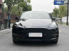 Tesla Model Y Long Range All-Wheel Drive - ფოტო 2
