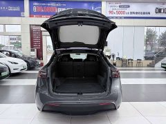 Tesla Model Y Rear-Wheel Drive - ფოტო 4