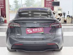 Tesla Model Y Rear-Wheel Drive - ფოტო 5