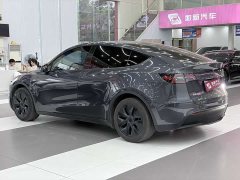 Tesla Model Y Rear-Wheel Drive - ფოტო 9