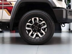 Toyota Land Cruiser (Import) LC71 4.0L Automatic - ფოტო 18
