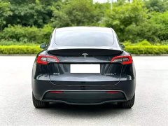 Tesla Model Y Rear-Wheel Drive - ფოტო 8