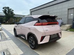 BYD Seagull Smart Driving Edition 305km Freedom Edition - ფოტო 17