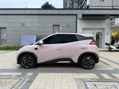 BYD Seagull Smart Driving Edition 305km Freedom Edition - ფოტო 18