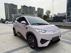 BYD Seagull Smart Driving Edition 305km Freedom Edition - ფოტო 3
