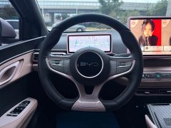 BYD Seagull Smart Driving Edition 305km Freedom Edition - ფოტო 7