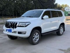 Hengtian L4600 4.6L V8 Pilot Edition - photo 1