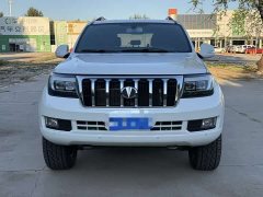 Hengtian L4600 4.6L V8 Pilot Edition - photo 2