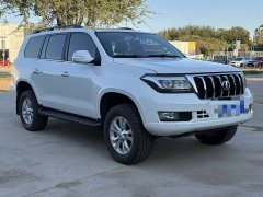 Hengtian L4600 4.6L V8 Pilot Edition - photo 3