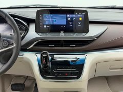 Buick GL8 Land Executive Cabin 652T Luxury - ფოტო 10