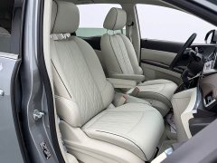 Buick GL8 Land Executive Cabin 652T Luxury - ფოტო 18