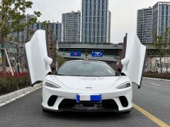 McLaren GT 4.0T Standard - ფოტო 2