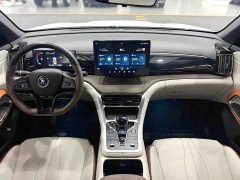 BYD Song Pro New Energy DM-i 51km Luxury - ფოტო 11