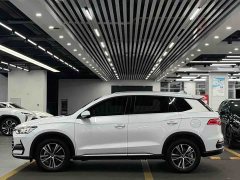 BYD Song Pro New Energy DM-i 51km Luxury - ფოტო 7