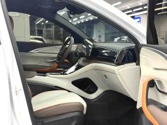 BYD Song Pro New Energy DM-i 51km Luxury - ფოტო 9