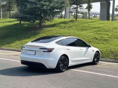 Tesla Model 3 2023 Rear-Wheel Drive - ფოტო 12