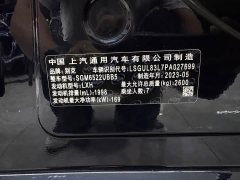 Buick GL8 ES Luxun Luxury Edition - ფოტო 18
