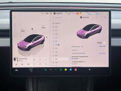 Tesla Model 3 2023 Rear-Wheel Drive - ფოტო 12