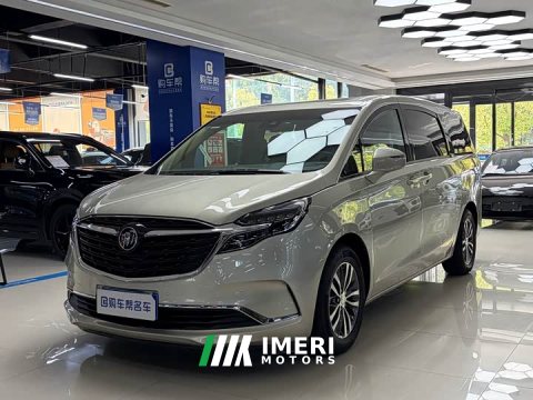 2021 Buick GL8 ES Land Respect 653T Respect Enjoyment Edition - ავტომობილი ჩინეთიდან