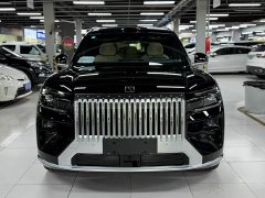 Zeekr 8X Max 55kWh - ფოტო 2
