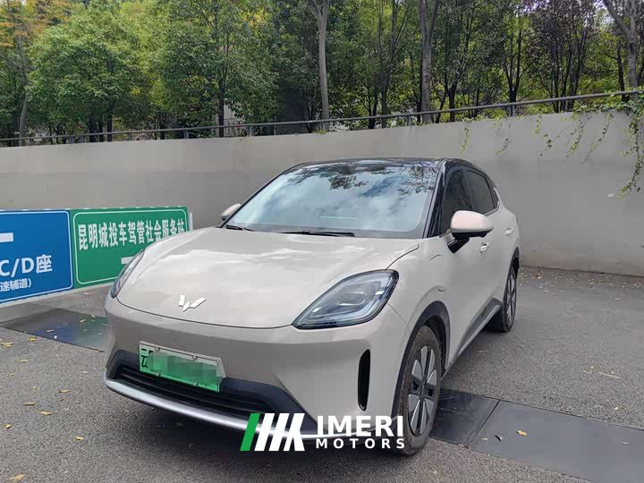 Wuling Bingguo S 325km Deluxe Edition - ავტომობილი ჩინეთიდან