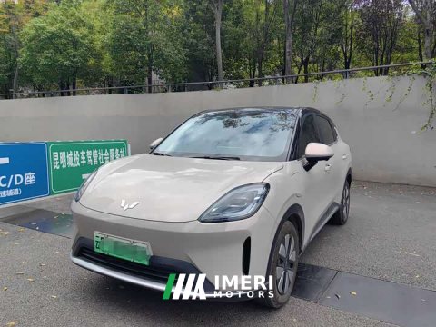 2025 Wuling Bingguo S 325km Deluxe Edition - ავტომობილი ჩინეთიდან
