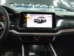 Volkswagen Teramont X 380TSI AWD Dragon Prestige Edition - ფოტო 13