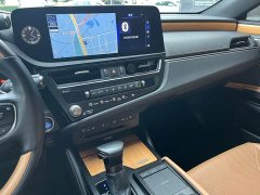 Lexus ES 300h Executive - ფოტო 16
