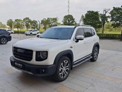 Great Wall Dachshund 2.0T DCT Two-Wheel Drive Chinese Hunting Dog Edition - ფოტო 1
