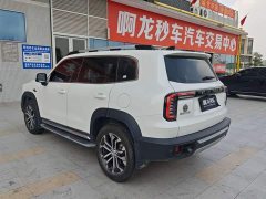 Great Wall Dachshund 2.0T DCT Two-Wheel Drive Chinese Hunting Dog Edition - ფოტო 7