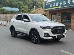 Haval H6 1.5T National Trend Urban Edition - ფოტო 3