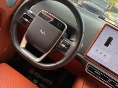 Li Auto L8 Pro - ფოტო 14