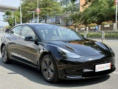 Tesla Model 3 Standard Range RWD Upgrade - ფოტო 1